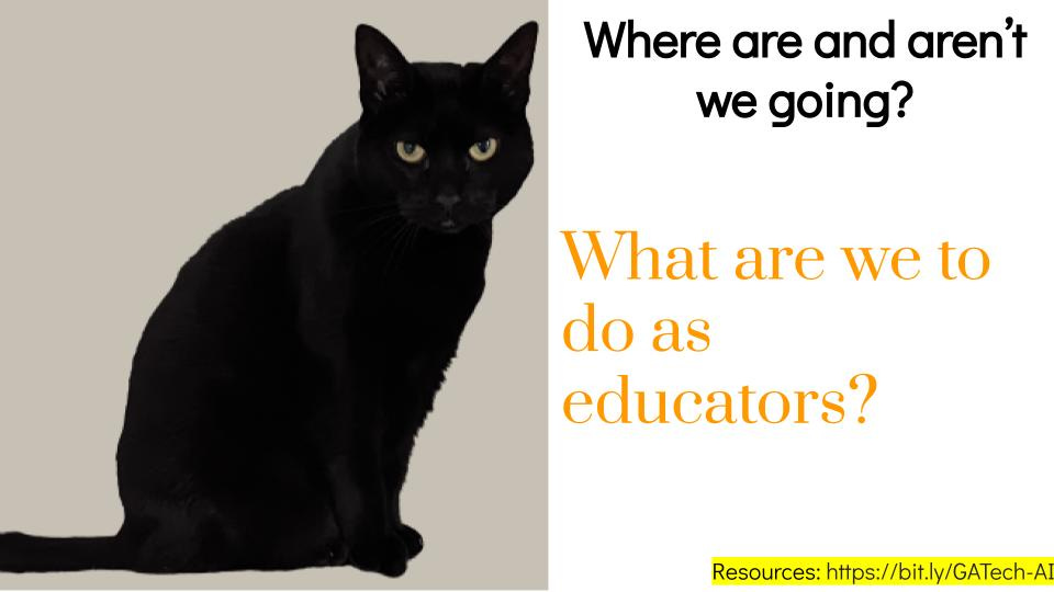 Slide 20 from the presentation.  The image includes an image of a Black cat looking at the view.  The text includes "Where are and aren't we going?"  What do we do as educators?"