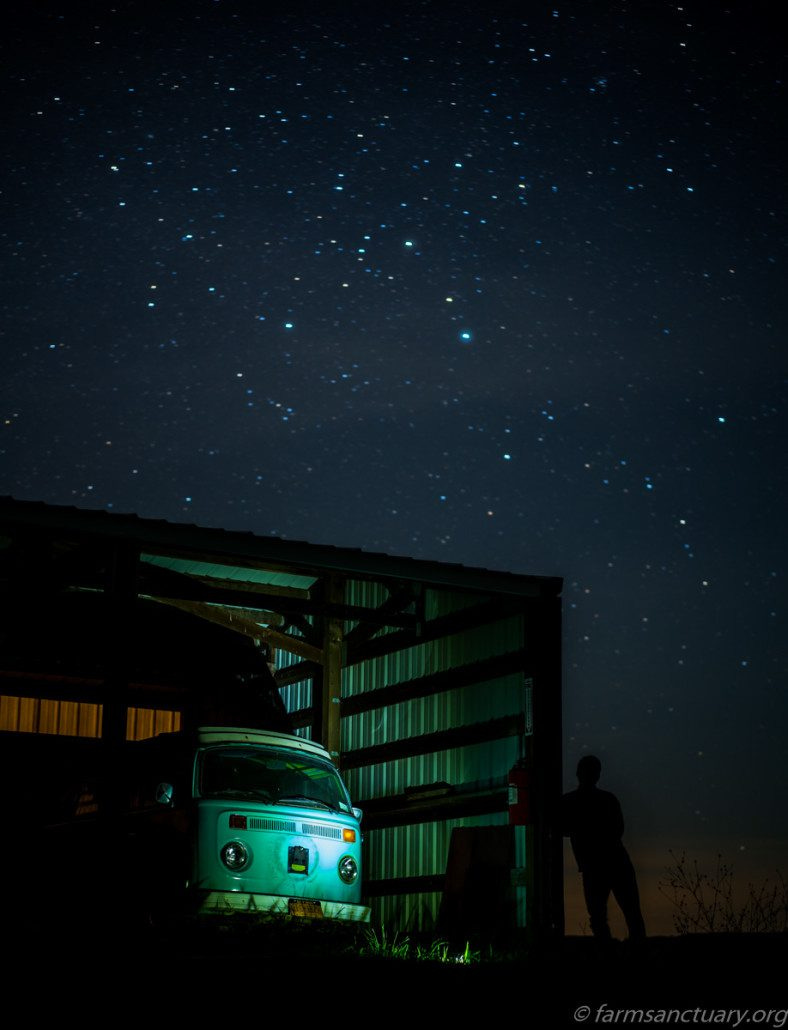 A vanagon dreaming of its next trip... (Shot by me at Farm Sanctuary.)