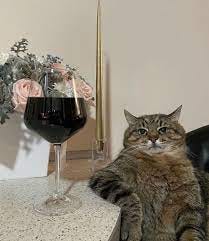 R👗 on Twitter | Cat memes, Red wine, Wine