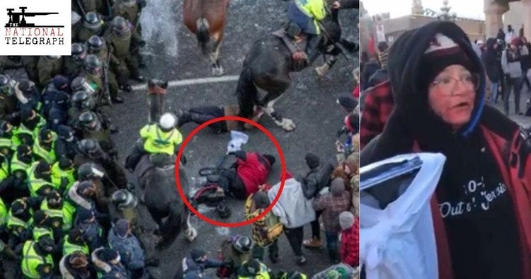 Ottawa Police Are Lying About An Elderly Woman Being Trampled By A Police  Horse — The National Telegraph