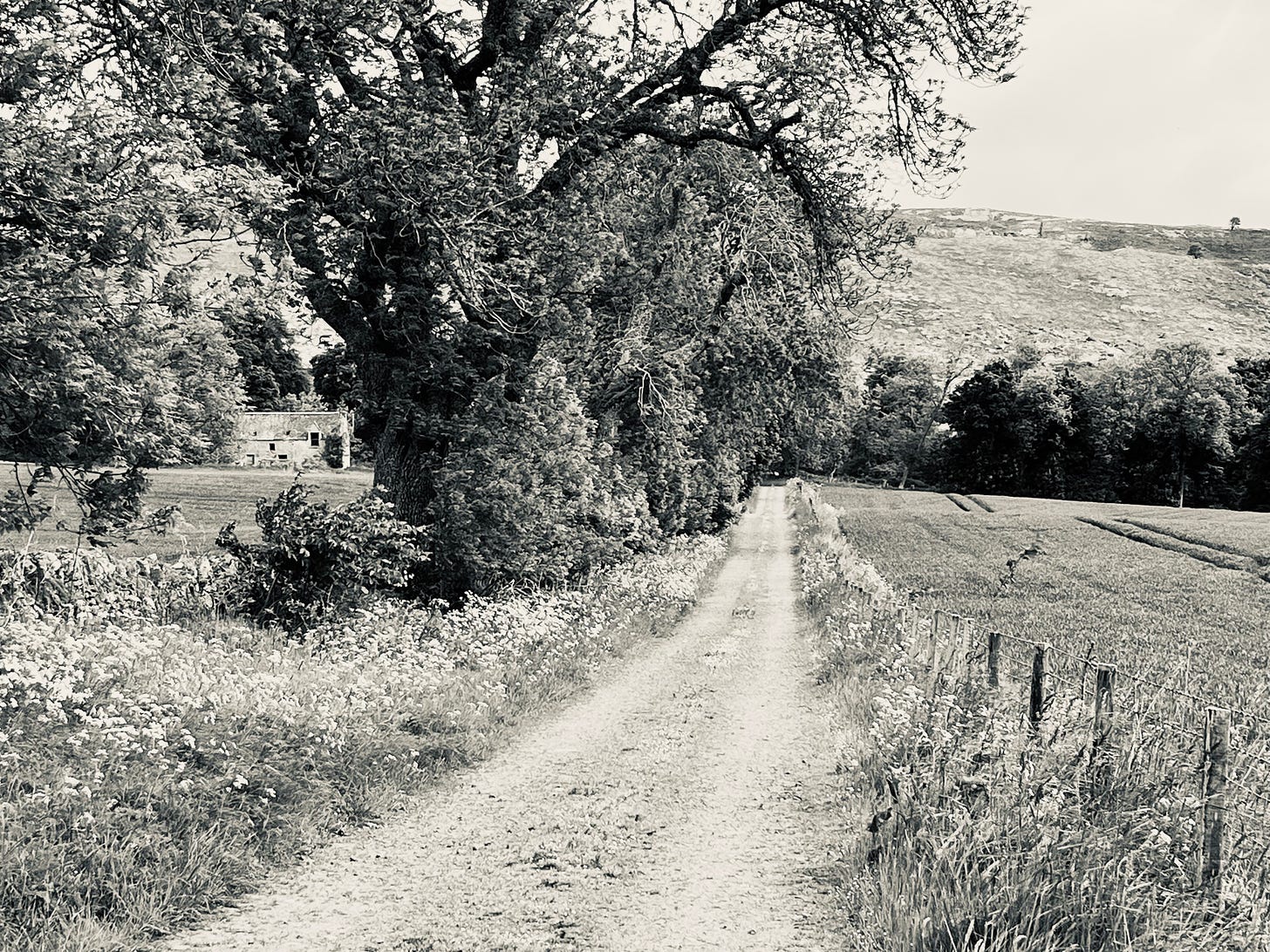 A lane leads the eye towards the hill of Towanreef, past an abandoned farmhouse and fields of barley; monochrome view
