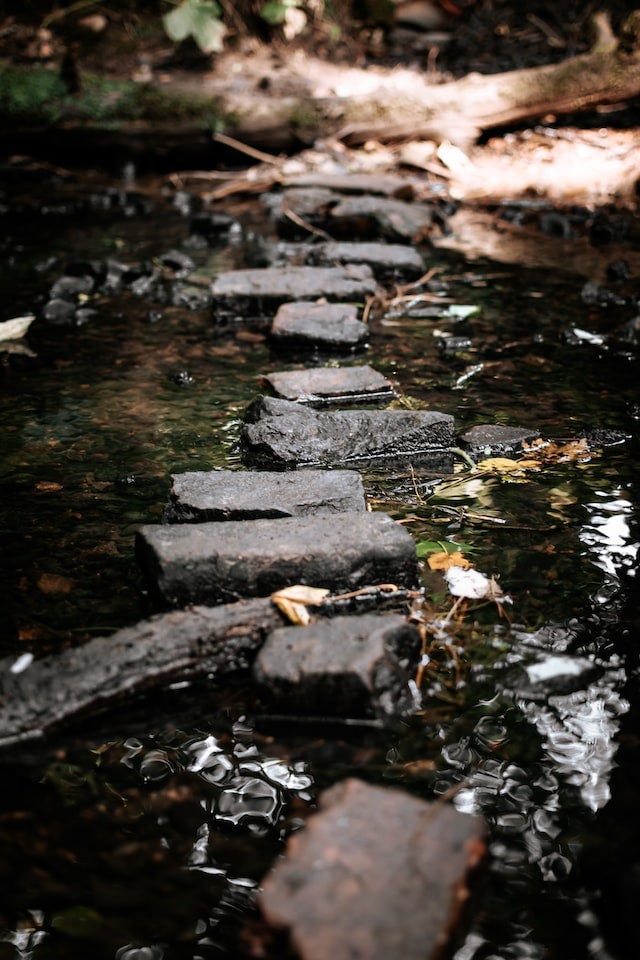 river in the woods with stepping stones
