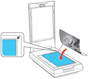 Imagem do manual de um scanner de vidro da marca Epson