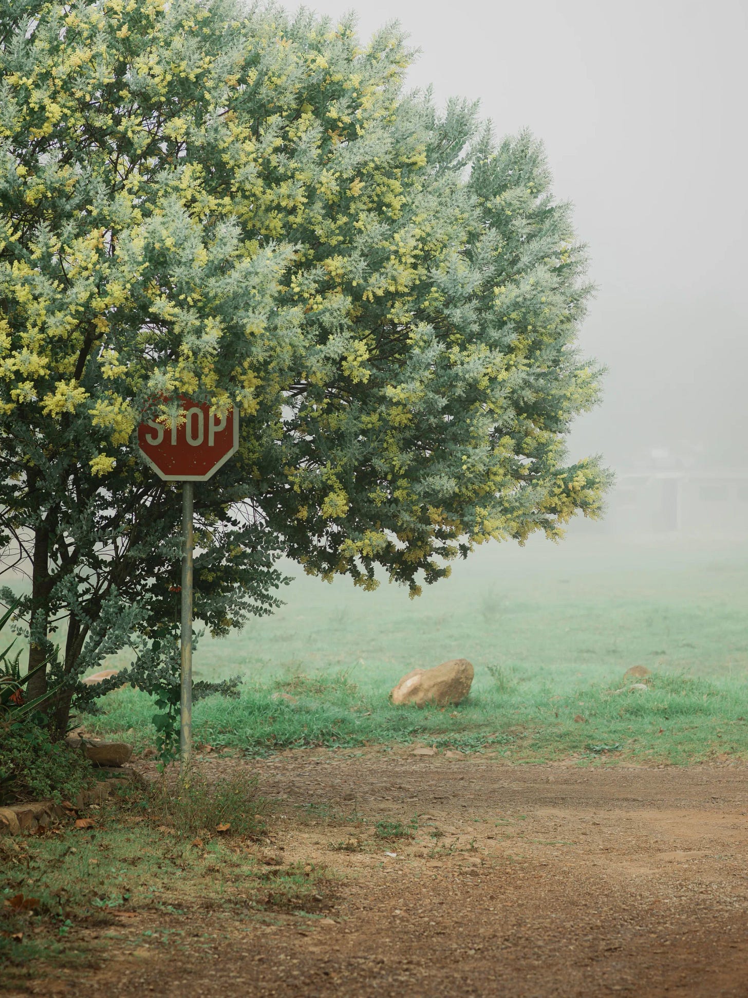 An imperfect photographer seeking perfection in an imperfect world