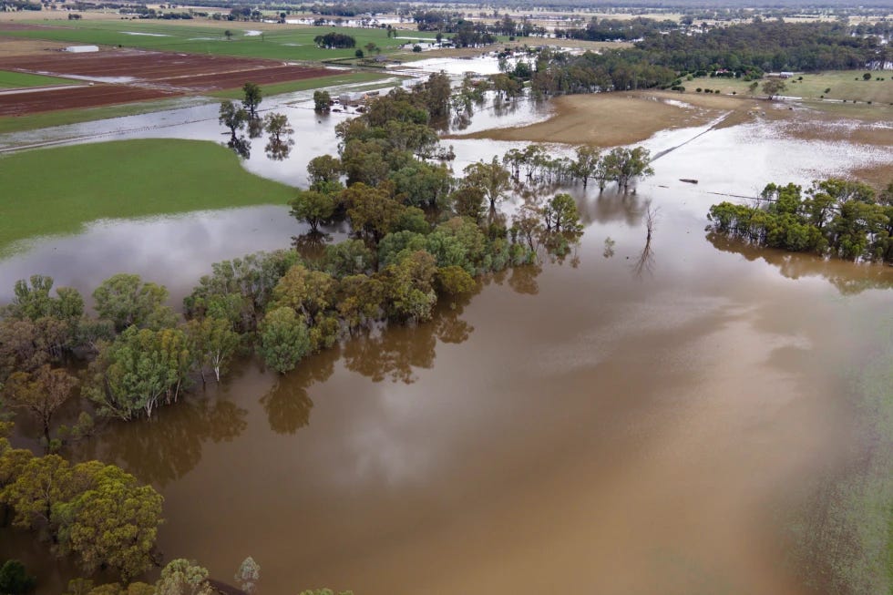 Farm land is flooded near Bendigo, Australia, Monday, Jan. 8, 2024. Hundreds of people were ordered to evacuate their homes after parts of Victoria state were inundated by flooding as wild weather continues to batter Australia’s east coast. (Diego Fedele)