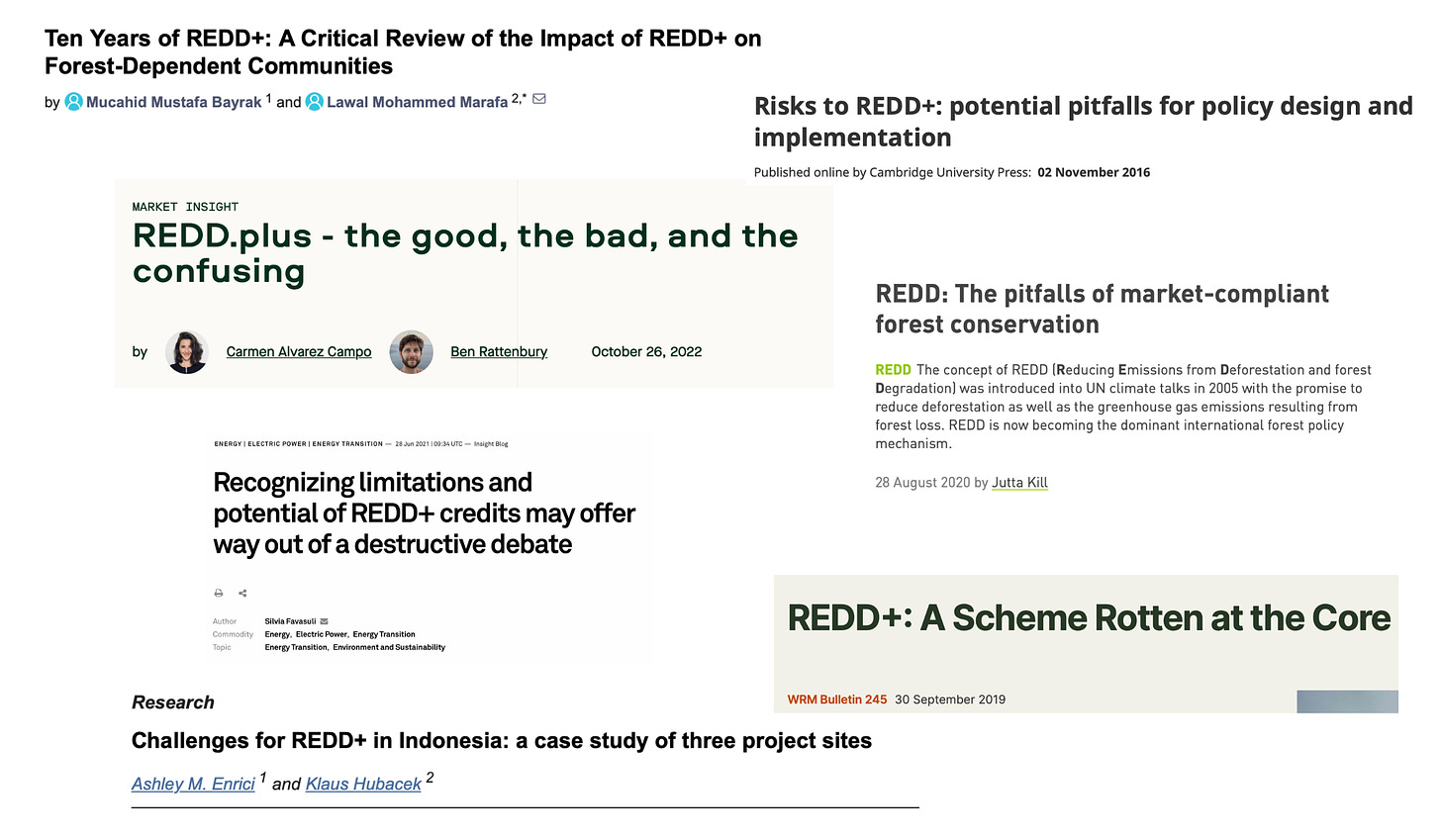 Screenshots of headlines relating to REDD+ - critiques reaching back to 2016