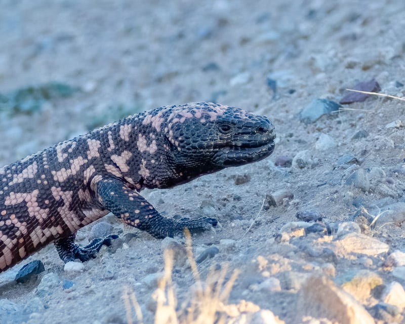 20240813-Marana-403-Edit.jpg