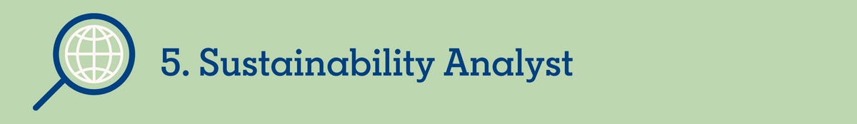 5. Sustainability Analyst 