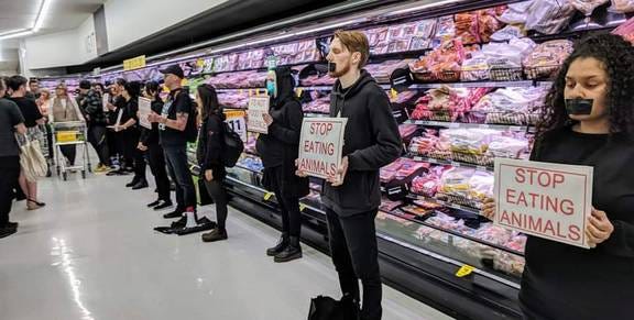 Vegan protesters plan more action against animal exploitation after  supermarket stunt - NZ Herald