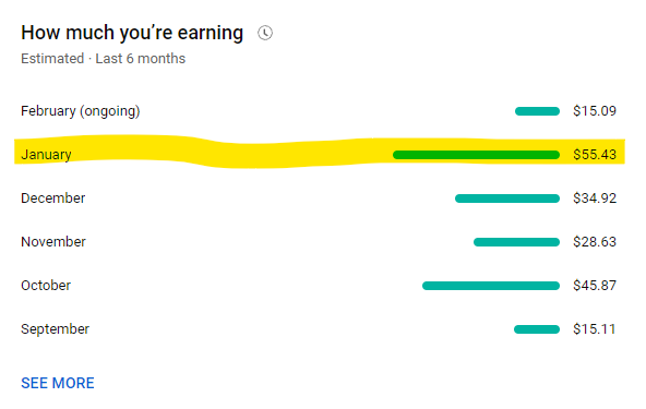 My YouTube earnings