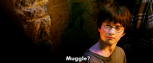 Gif dal film "Harry Potter e la pietra filosofale". Sfondo di un tugurio in pietra con Harry Potter (vestito con una magliettina e i suoi occhiali tondi)che si rivolge in controcampo a Hagrid (con barbone e capelli lunghi e arruffati). In sovrimpressione la parola "Muggle?" e la risposta "Non-Magic folk."