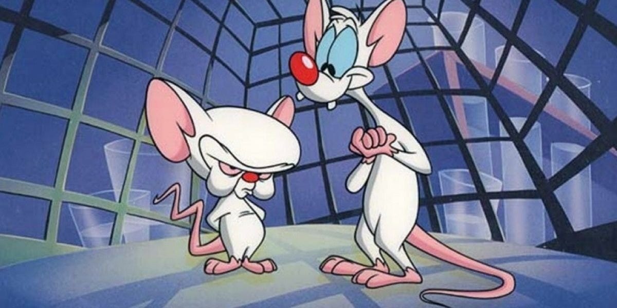 Pinky And The Brain Theme Song And Lyrics