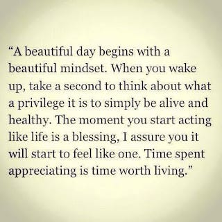 "A beautiful day begins with a beautiful mindset. When you wake up, take a second to think about what a privilege it is to simply be alive and healthy. The moment you start acting like life is a blessing, I assure you it will start to feel like one. Time spent appreciating is time worth living."