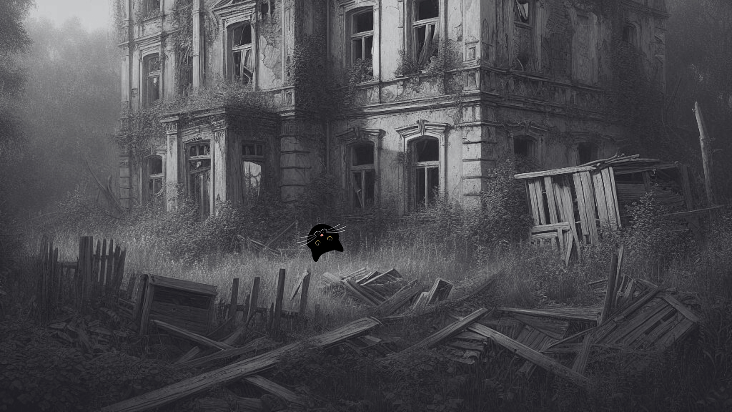 Image of crumbling building and a cat face