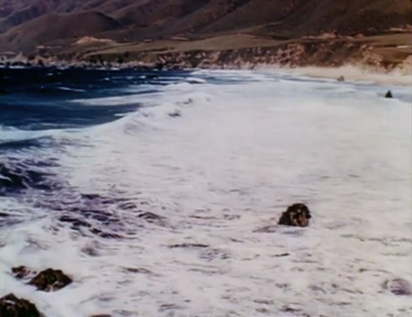 A scene from “The sea around us” (1953)