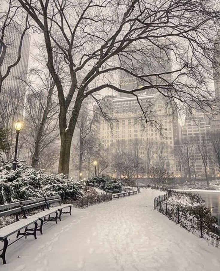 This may contain: a snowy park with benches and trees in the foreground, surrounded by tall buildings