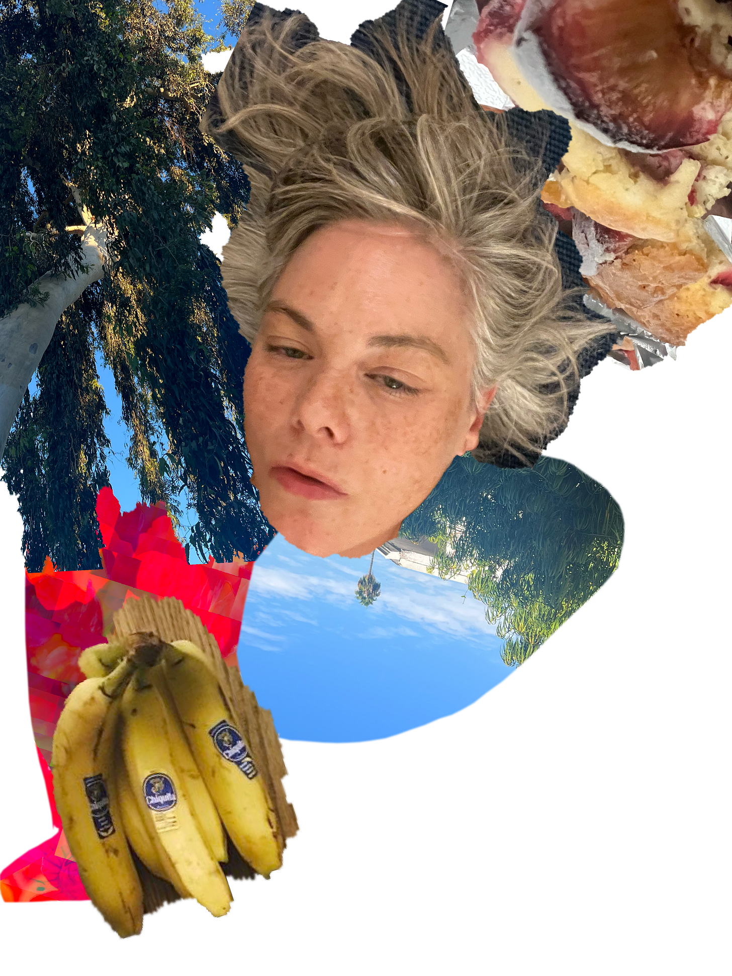 A collage of photos including a tree, a skyscape that's upside down, a bunch of bananas, and the author's face.