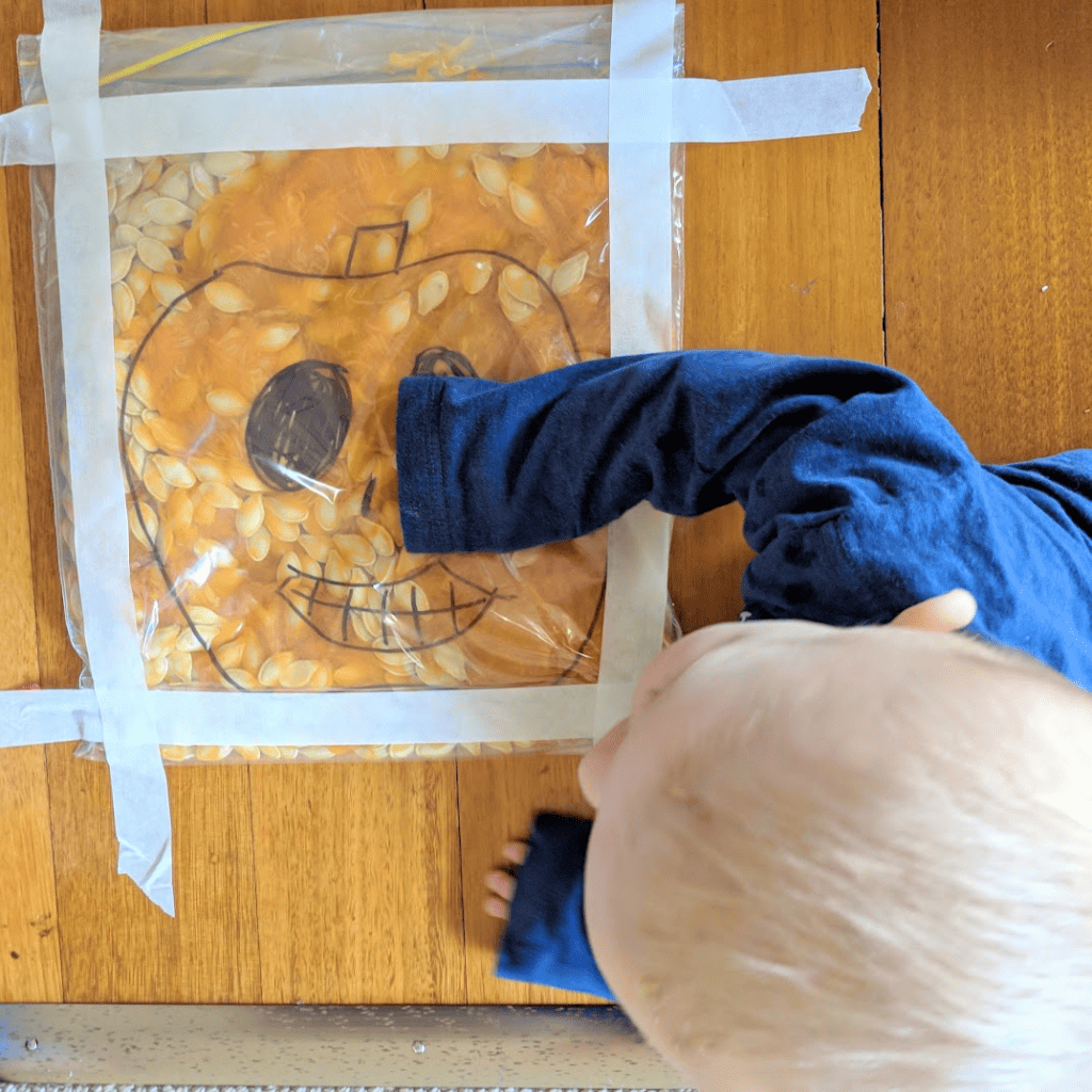 one of the simplest pumpkin ideas is to place pumpkin seeds into a sandwich bag. In this photo, a baby is squishing the seeds 