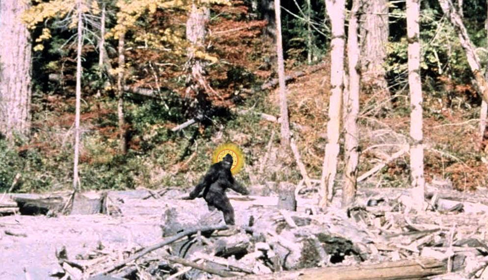 An edited image of the Patterson–Gimlin film Sasquatch with a saintly halo. 