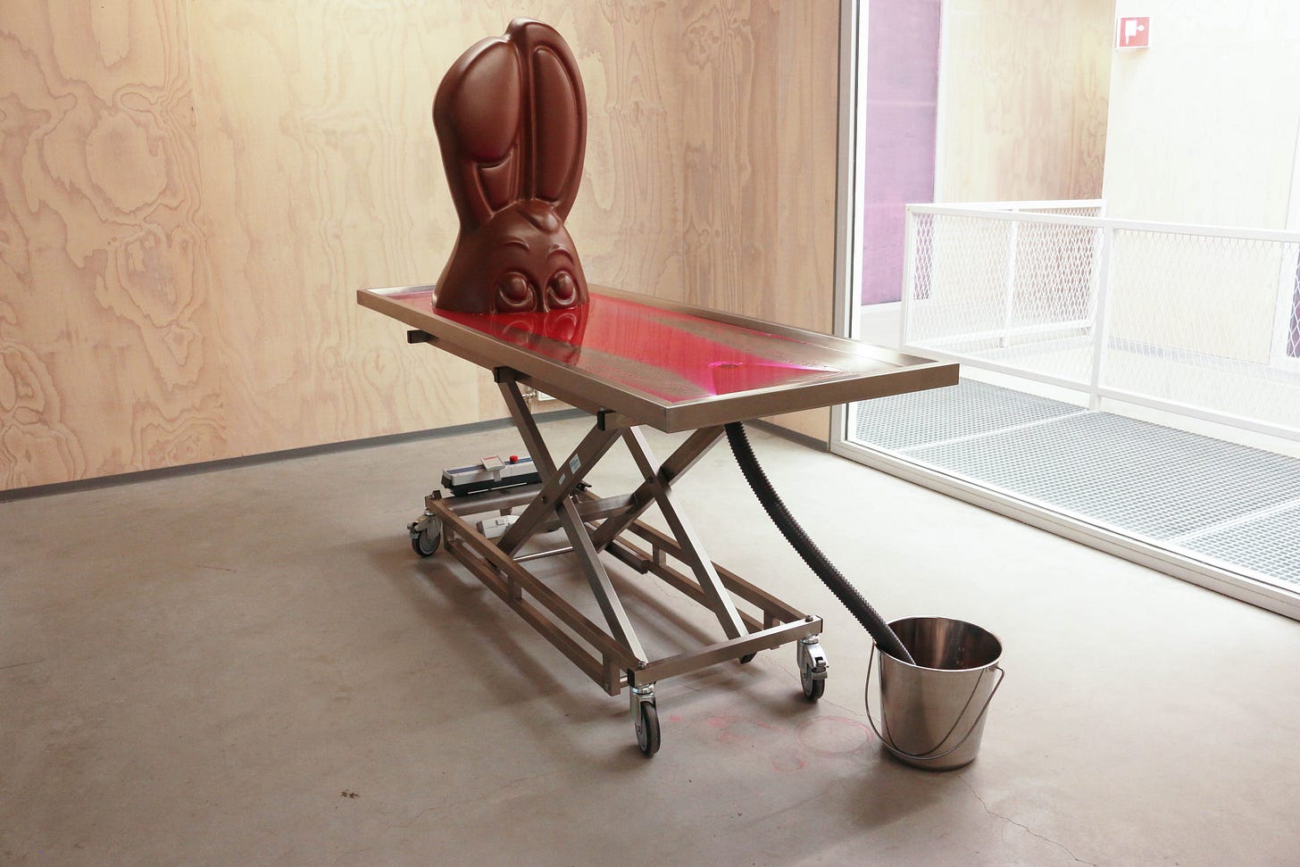 In a gallery space, the top of the head of a chocolate bunny rests in a pool of pink blood that is draining off a clinical metal table into a metal bucket.