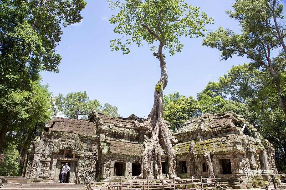 Ta Prohm Temple – Layout, History, Visiting Guide and More | Hello Angkor