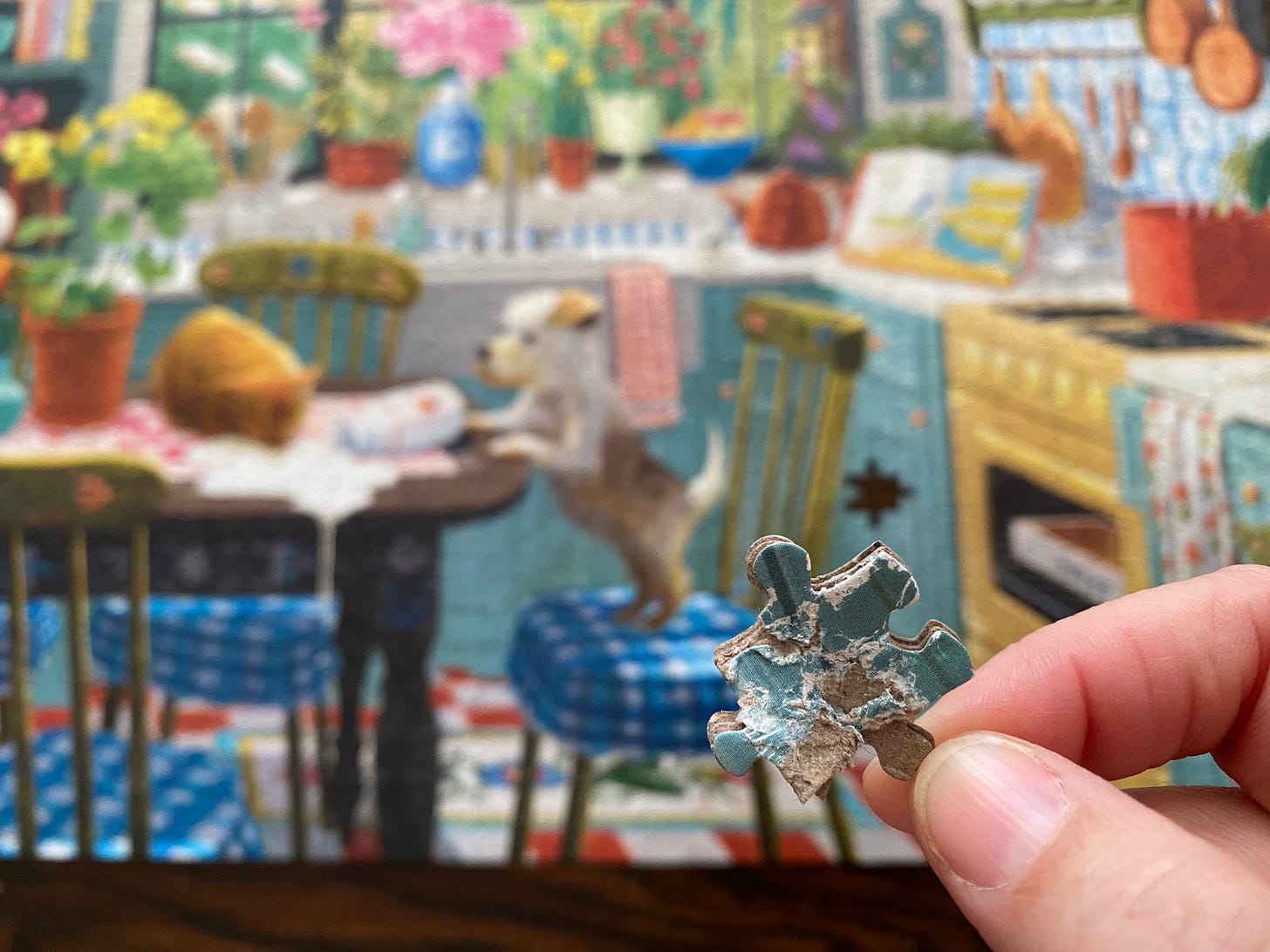 a puzzle piece that's been chewed by a dog