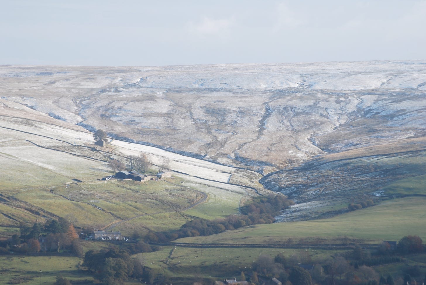 Ellershope Burn on Allendale Common