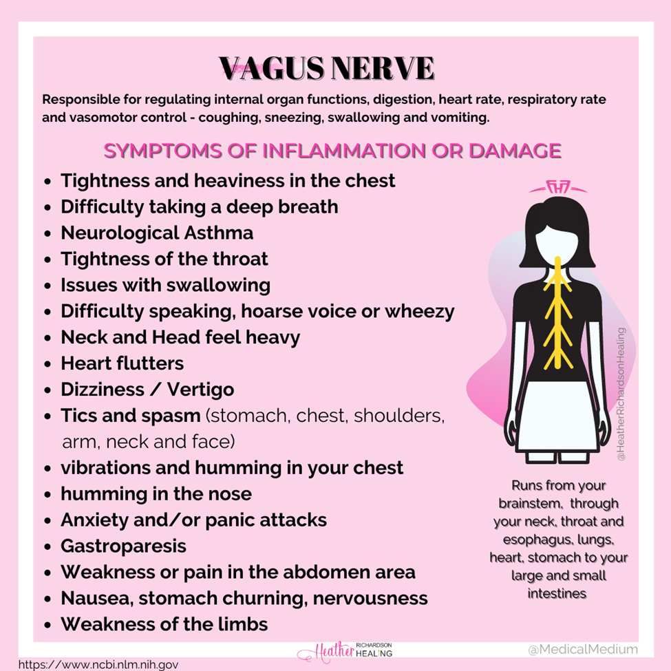 Vagus nerve symptoms 