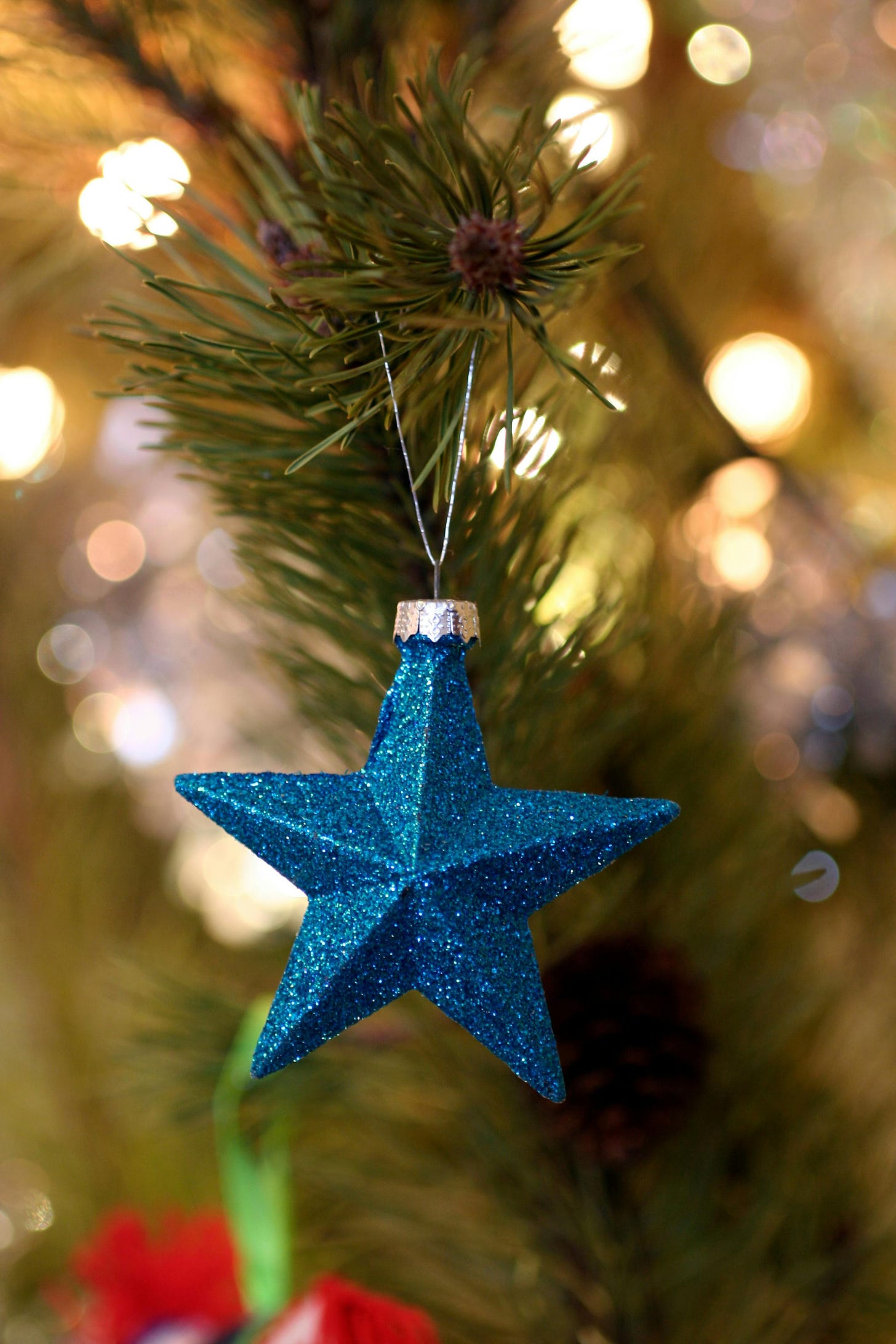 Free Close-up of a shimmering blue star ornament hanging on a Christmas tree branch. Stock Photo