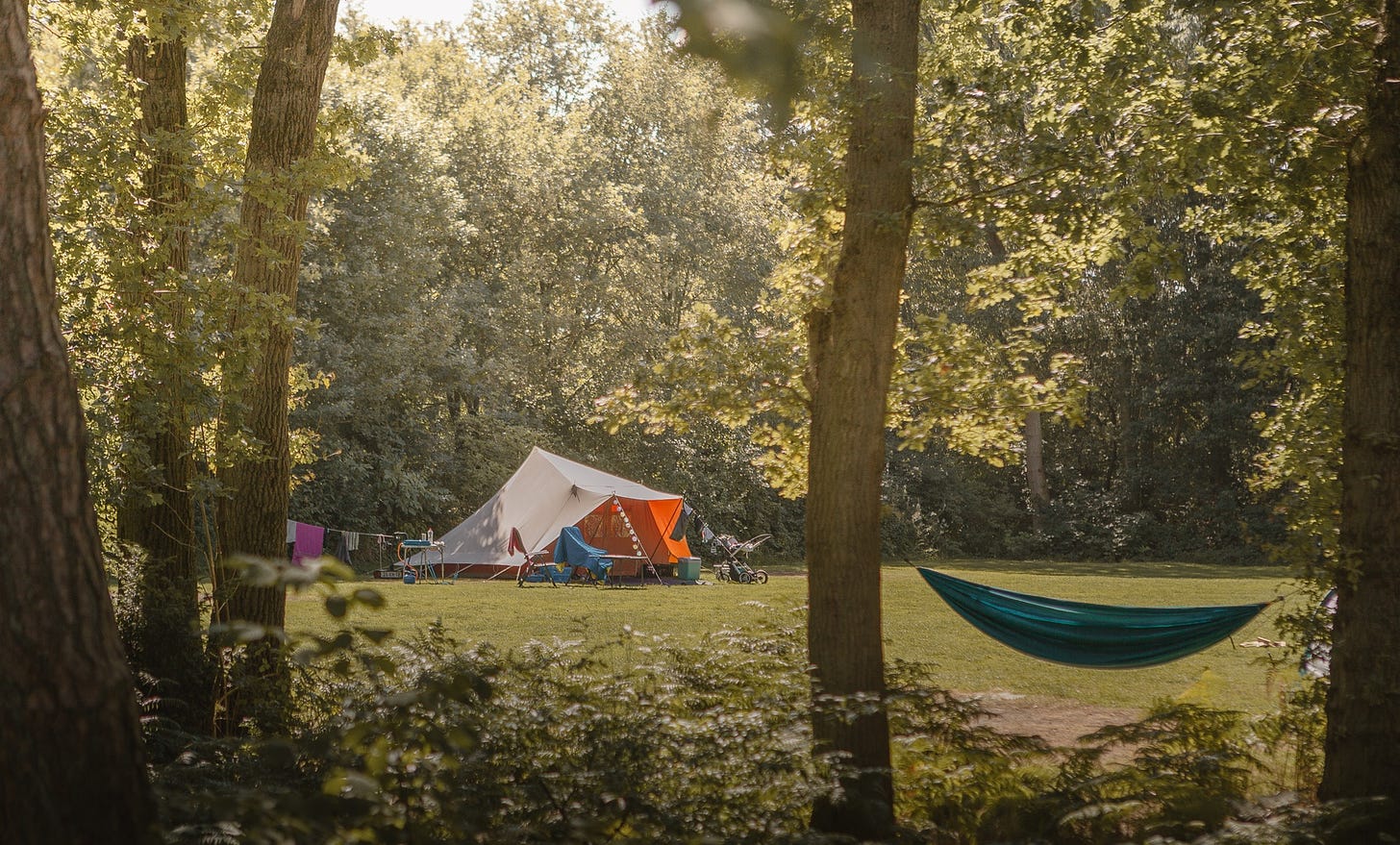 Secluded tent in the forest for dutch camping