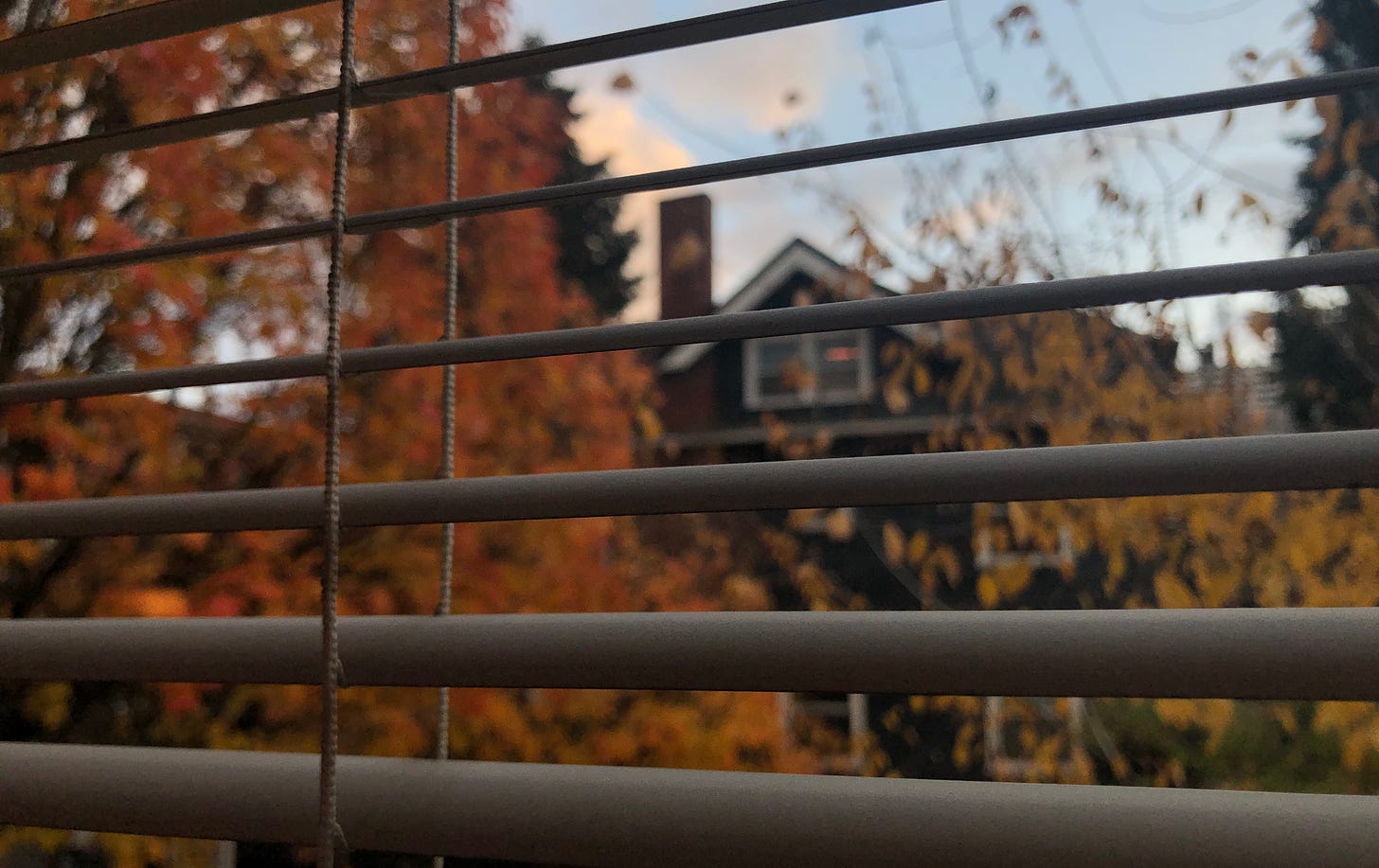 zoom in of blind slats with a blurry views of autumn trees in front of a brick building 