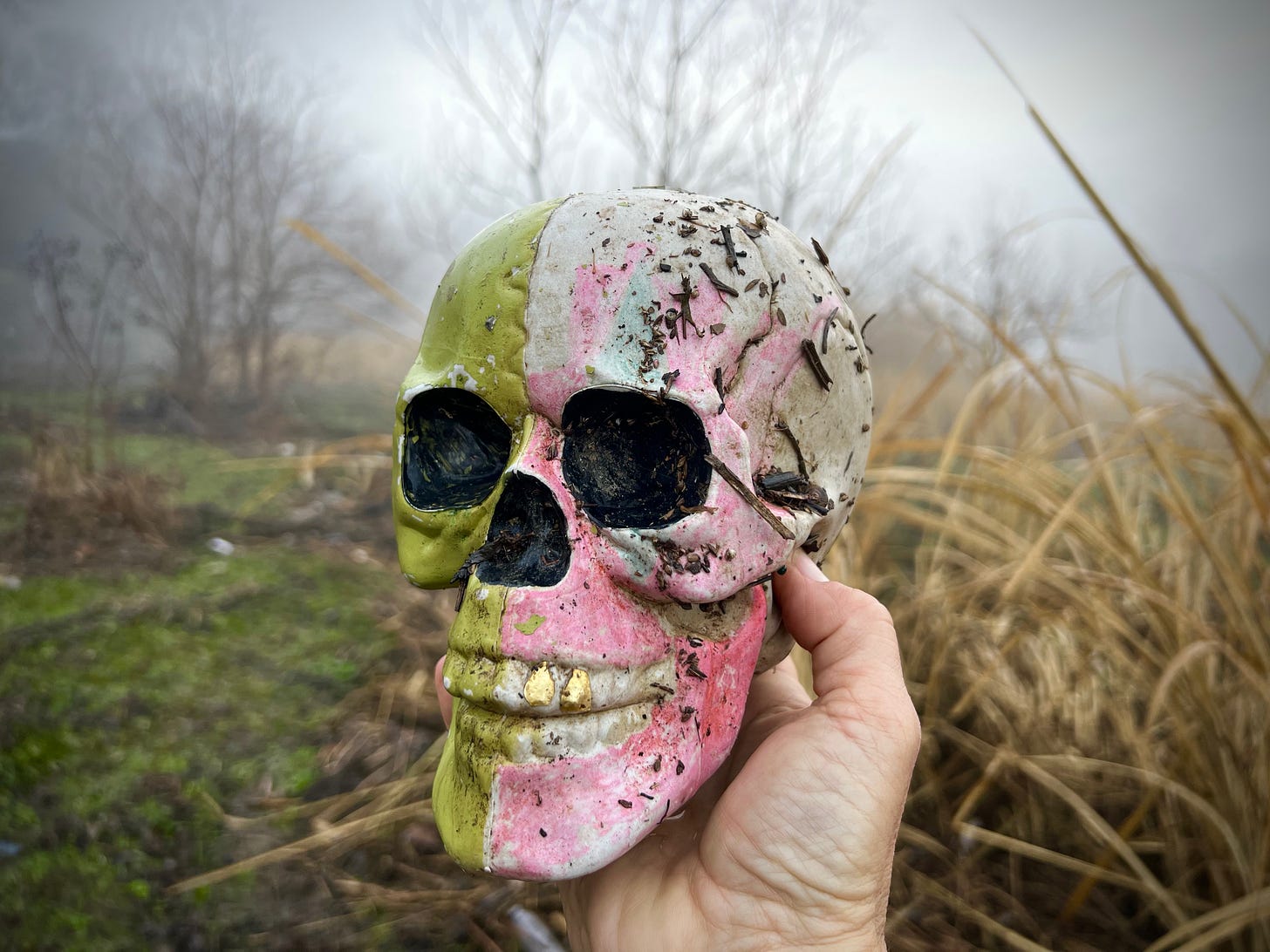 Edgeland sugar skull, held up in the hand of the photographer like poor Yorick