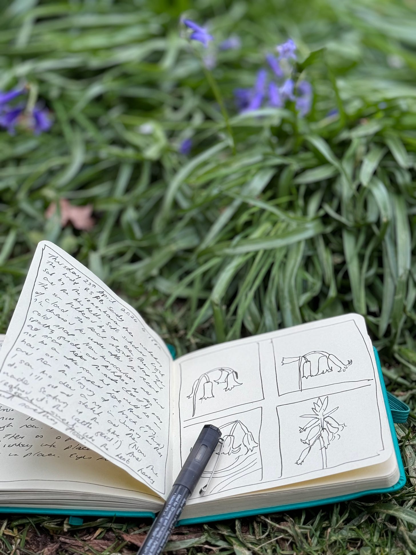 Out of focus bluebells with small square sketchbook showing writing which is transcribed in the post below. On the right side of the sketchbook are 4 small pen sketches of bluebells.