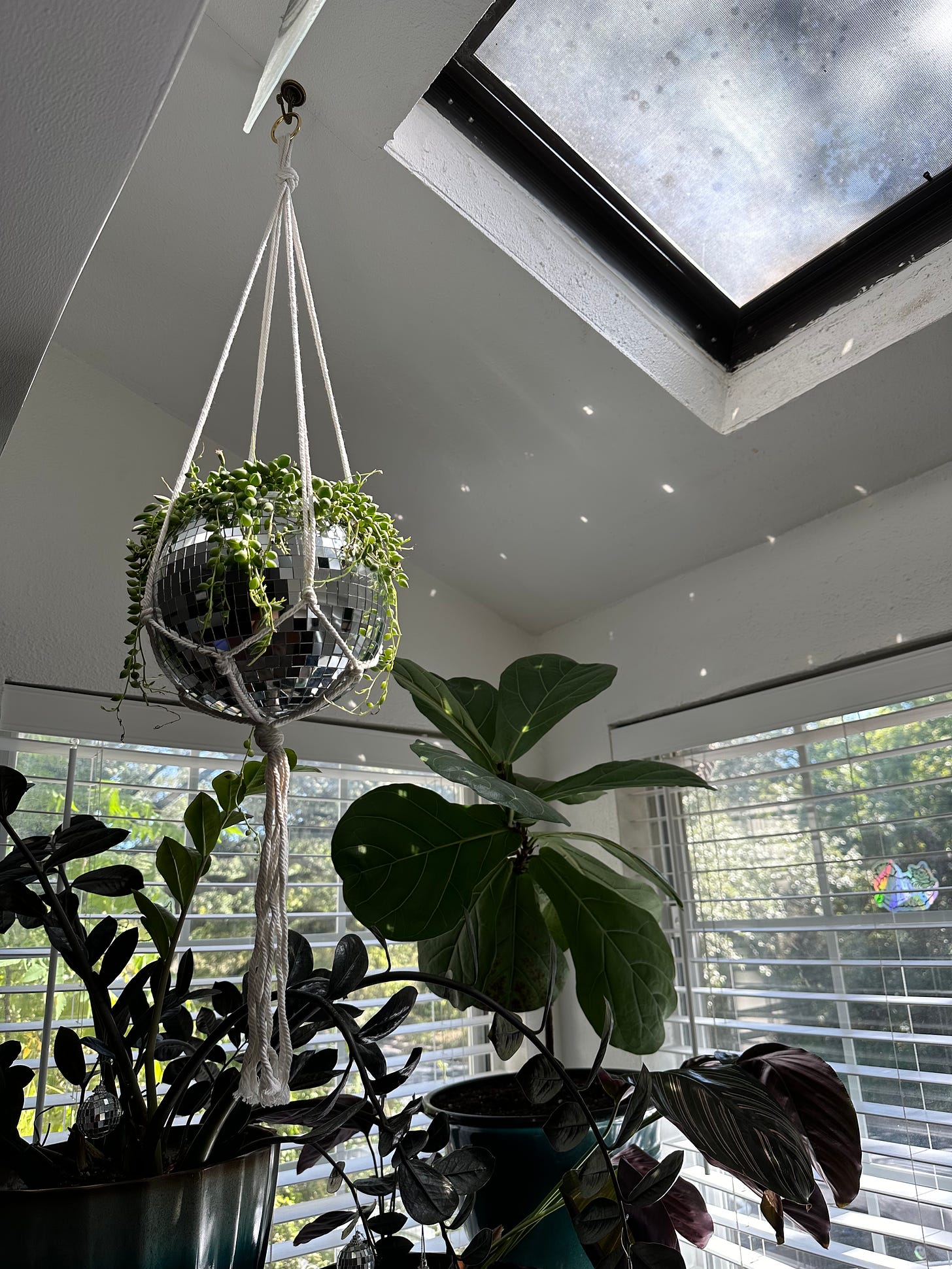 A disco ball planter hangs from a ceiling and casts balls of light on the wall.