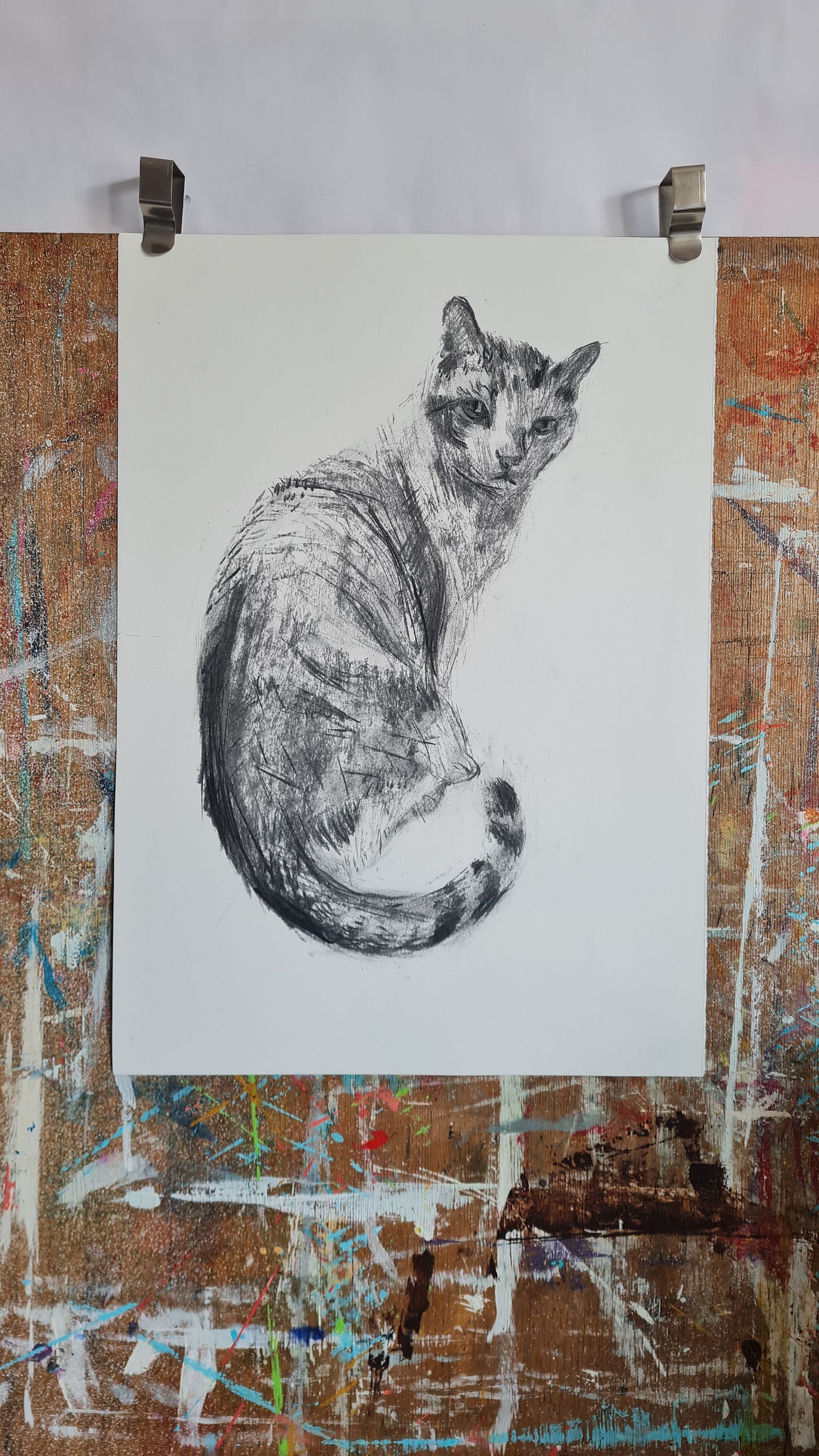 A charcoal drawing of a cat, on a wooden drawing board. The drawing is by Julia Laing.