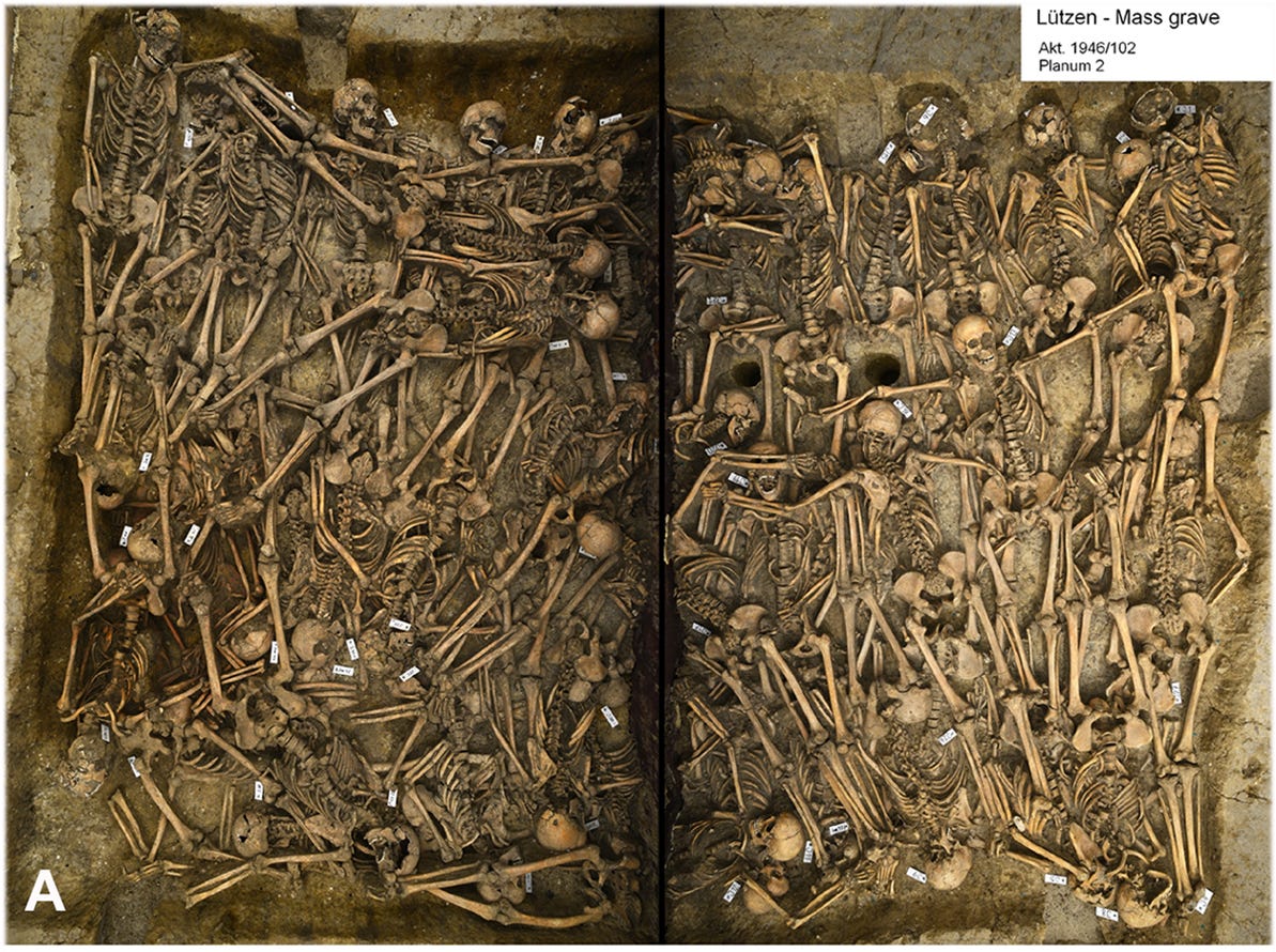 Mass Grave From Thirty Years' War Reveals Brutal Cavalry Attack