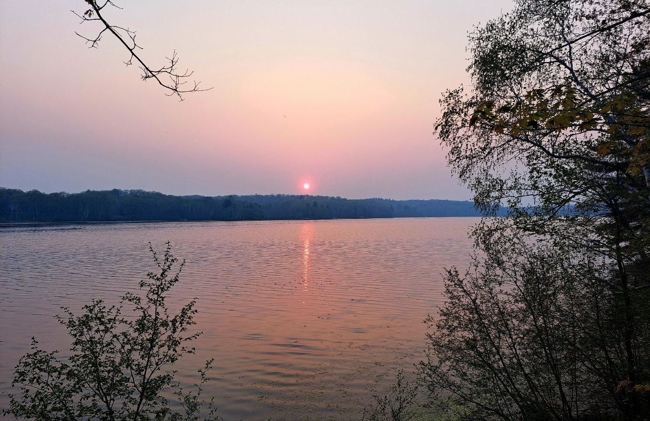 May be an image of horizon, lake, twilight and nature