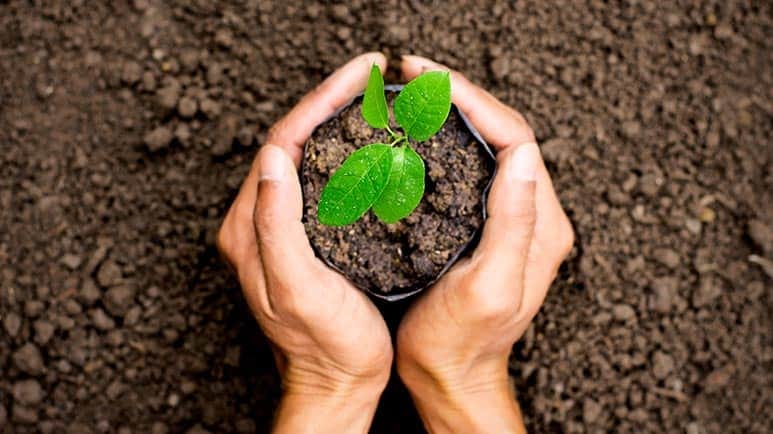 brain health benefits of gardening