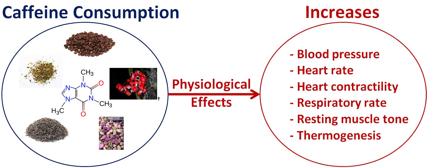 Physiological Effects of Caffeine BETTER RTP.png