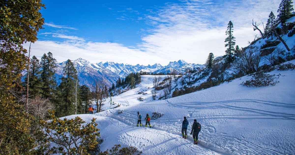 people walking on snow under blue sky