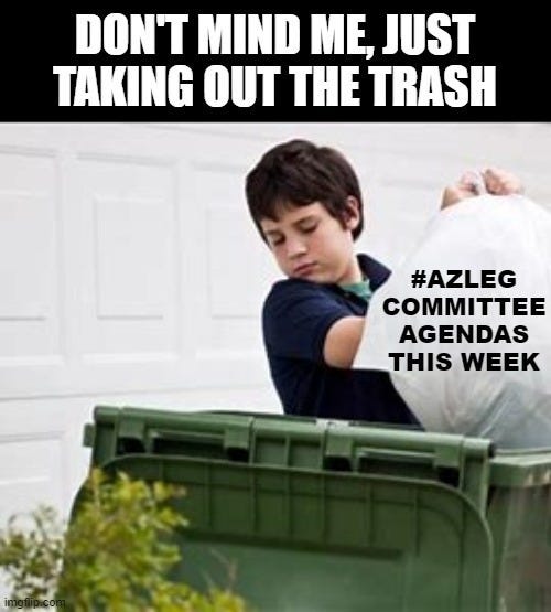 Image of child throwing a garbage bag into a trash can with caption "Don't mind me, just taking out the trash" and the bag is labeled AZLeg Committee Agendas this week