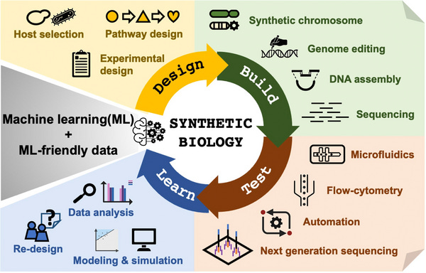 Synthetic biology: Learning the way toward high-precision ...