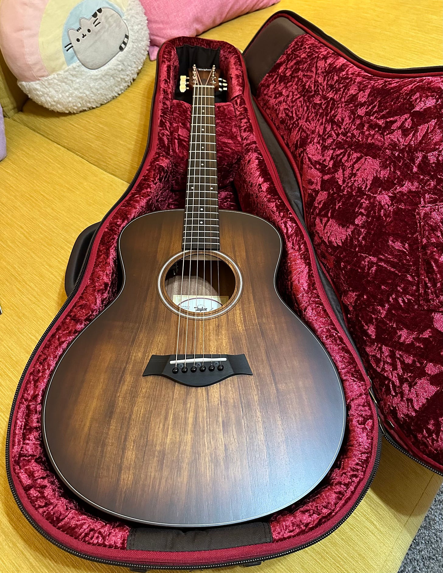 A photo of Shohreh's guitar, a Taylor GS Mini-e Koa Plus in its red velvet case