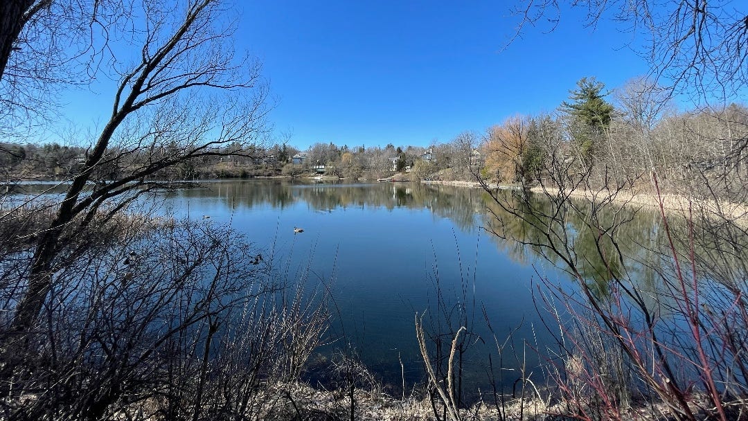 a beautiful quiet lake but the trees around it are mostly still grey