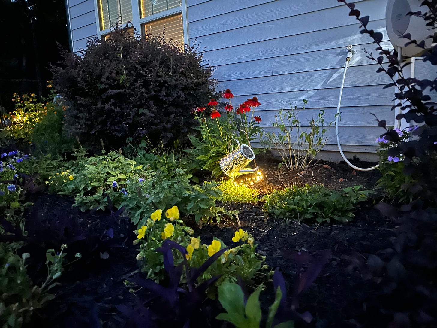 Night time shot of landscape