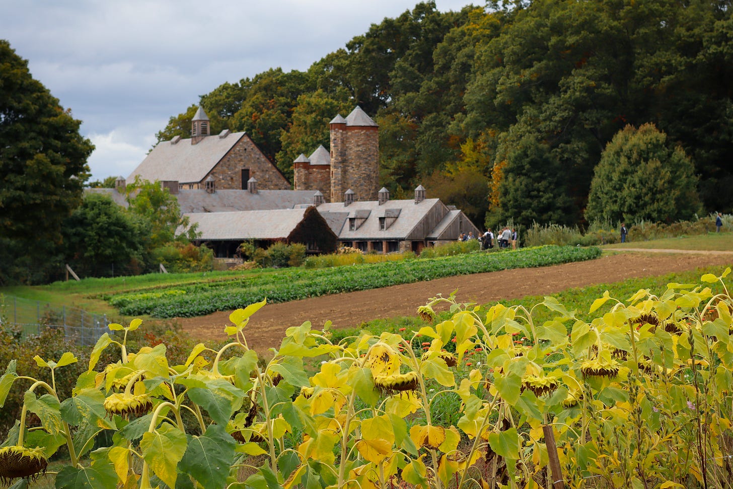 Stone Barns