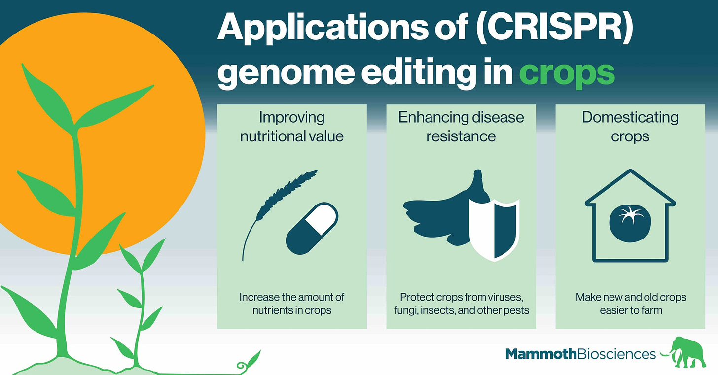 Applications of (CRISPR) genome editing in crops - Mammoth Biosciences