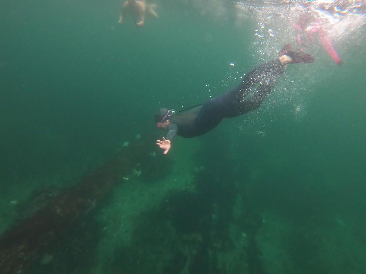 Woman in wetsuit swimming underwater.