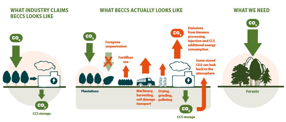 Graph that shows the resource and energy-intensive process of BECCS