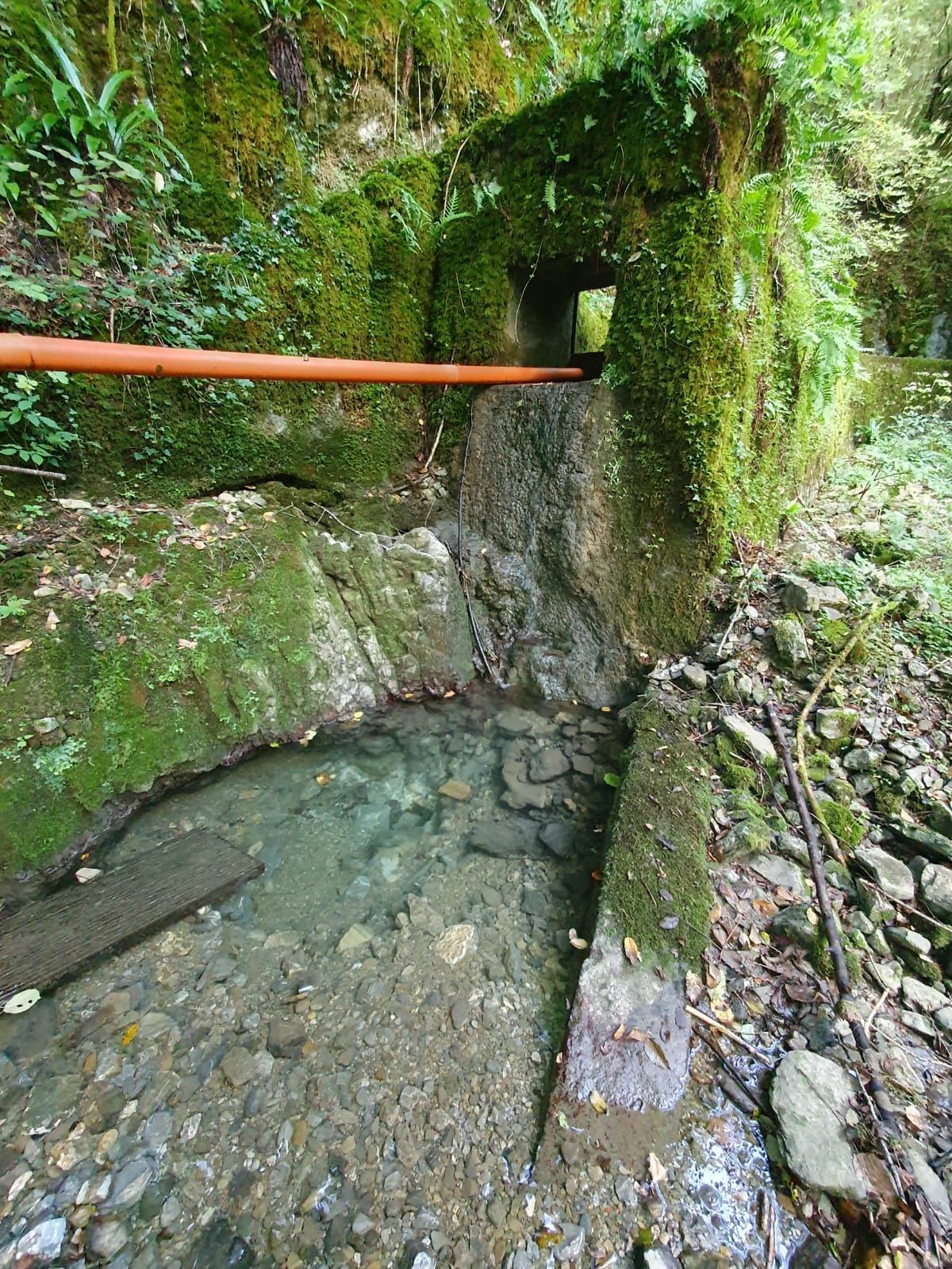 the deep pool beneath the sluice, the water is so clear as to almost be blue, and ferns, ivies and mosses grow all around